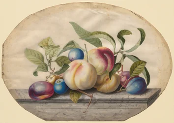 Fruit Arrangement: Peaches and Plums on a Slab of Marble, 1742