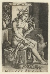 Smell (Olfactus), Olfatvs milvvs odore (title on object), Five Senses (series title)