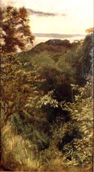 The Glen, Naworth, Cumbria