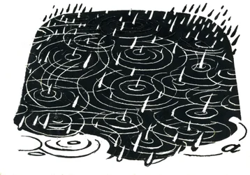 Rain Puddle Design
