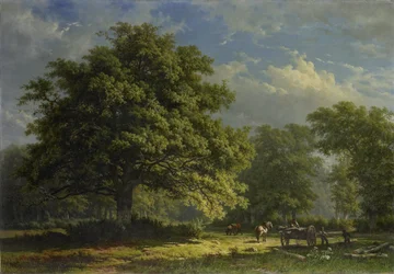 View in the Bentheim Forest