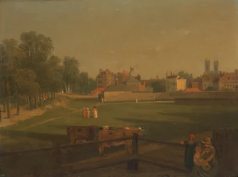 A Western View of Part of Westminster and Bird Cage Walk Taken from the Mill House