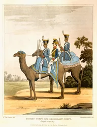 Rocket Corps and Dromedary Corps, Bengal Army 1817, from 
