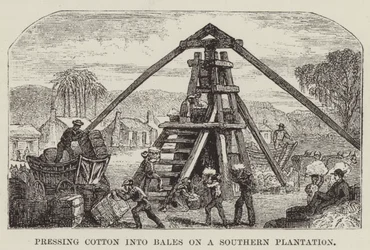 Pressing Cotton into Bales on a Southern Plantation