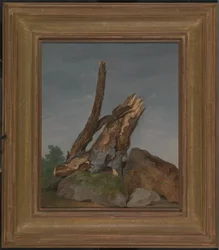 Study of Rocks and Branches