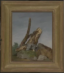 Study of Rocks and Branches