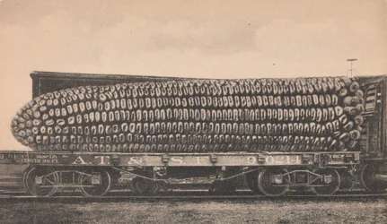 A Car Load of Texas Corn, ca. 1910