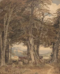 Cattle and Sheep at Resting at the Edge of a Forest