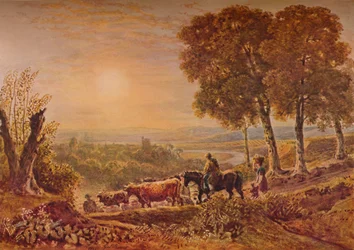 Sunset with Cattle