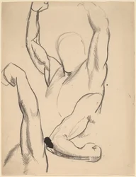 Arms of a Boxer