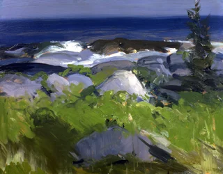 Vine Clad Shore--Monhegan Island