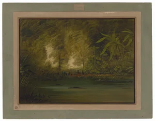 A Lagoon of the Upper Amazon