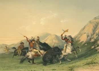 Attacking the Grizzly Bear