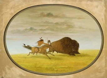 Buffalo Chase