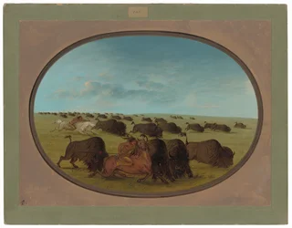 Buffalo Chase, with Accidents