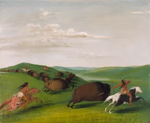Buffalo Chase with Bows and Lances