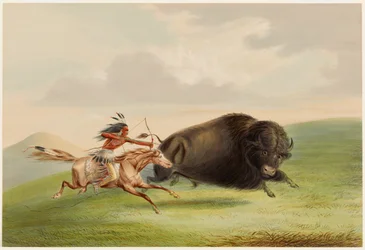 Buffalo Hunt, Chase