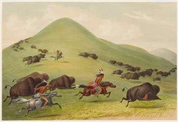 Buffalo Hunt: Chase