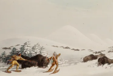 Buffalo Hunt, on Snowshoes