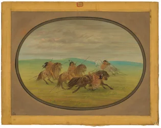 Camanchee Horsemanship