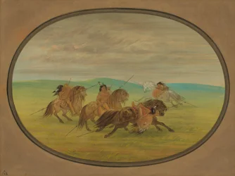 Camanchee Horsemanship