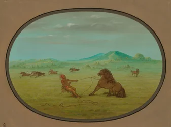 Catching Wild Horses - Pawnee