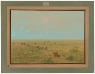 Driving the Pampas for Wild Cattle
