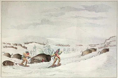 Hunting Buffalo on Snow-Shoes