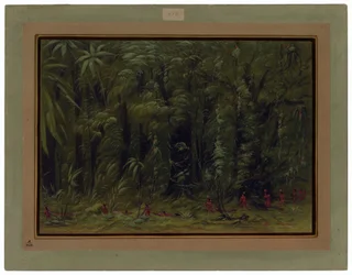Interior of an Amazon Forest - Zurumati