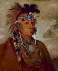 Shó-me-kós-see, The Wolf, a Chief