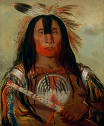Stu-mick-o-súcks, Buffalo Bull