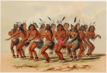 The Bear Dance