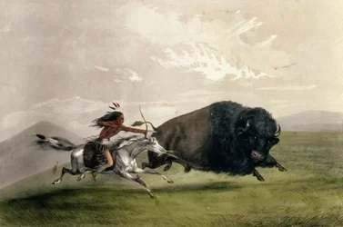 The Buffalo Chase 