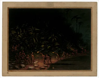 Turtle Hunt