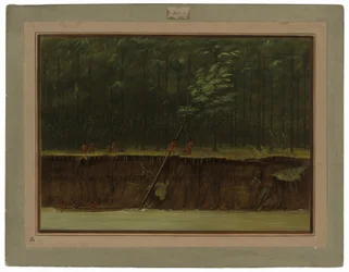 View of the Lower Mississippi