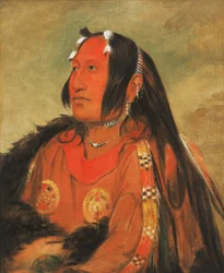 Wi-jún-jon, Pigeon