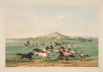 Wild Horses at Play, Plate 3 from the North American Indian Portfolio