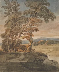 Trees on a Hillside Path