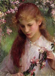 Apple Blossom