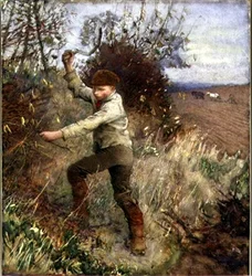 Boy Trimming a Hedge