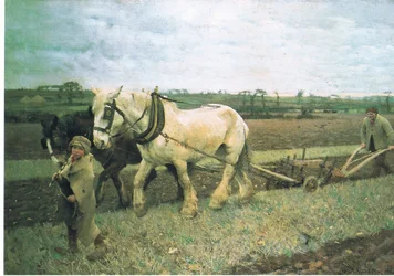 Ploughing