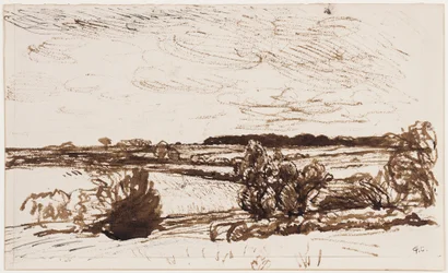 Windblown Landscape