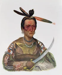 To-Ka-Cou, a Yankton Sioux Chief, 1837, Illustration from 