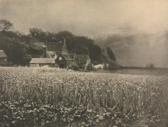 Camera Work: The Onion Field