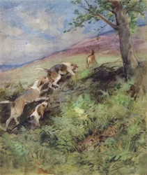 Illustration for The Story of a Red Deer