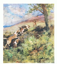 The old stag lay down in Rusty