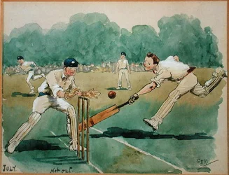 The Month of July: Cricket