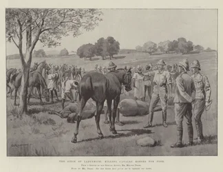 The Siege of Ladysmith, killing Cavalry Horses for Food