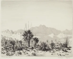 A Mirage, Arizona
