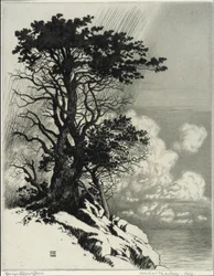 Coast at Monterey, California